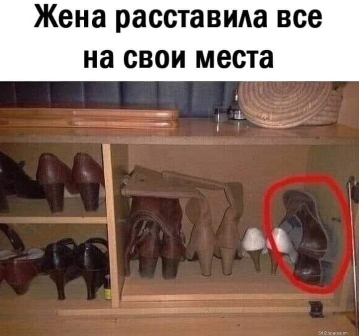 Жена расставила все на свои места П _