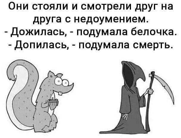 Они стояли и смотрели друг на друга с недоумением Дожилась подумала белочка Допилась подумала смерть