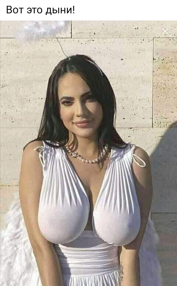 Вот это дыни