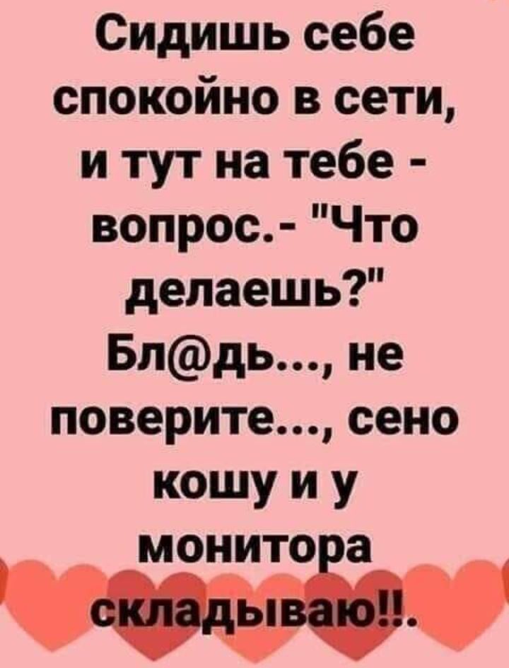 Сидишь себе спокойно в сети и тут на тебе вопрос Что делаешь Блдь не поверите сено кошу и у МОНИТОіа