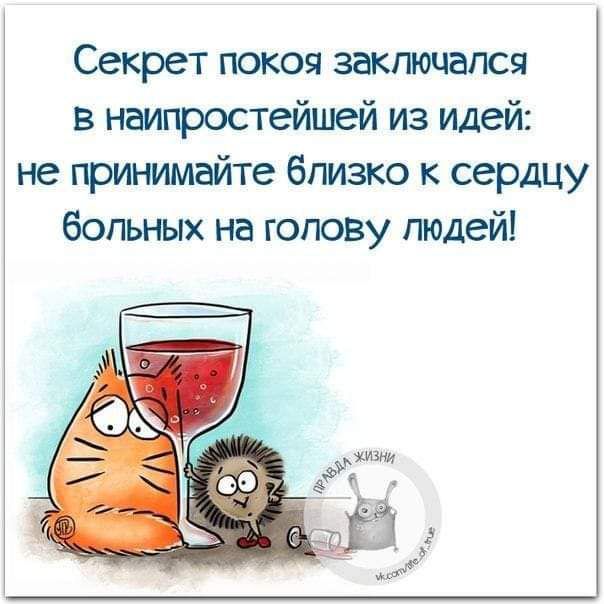 Секрет покоя заключался в наипростейшей из идей не принимайте близко к сердцу больных на голову людей