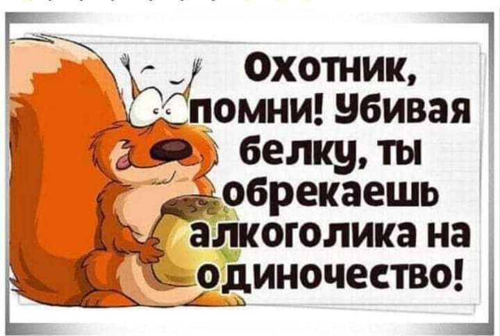 Ч охотник юмни убивая а белку обрекаешь ёё Ёадкоголика на одиночества ь