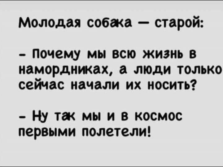 Молодая собака старой ПОЧСМ МЫ ВСЮ ЖИЗНЬ В НЗМОРДНЖЗД а люди ТОЛЬКО сейчас начали ИХ НОСИТЬ Н_у тж мы и в космос первыми полетели