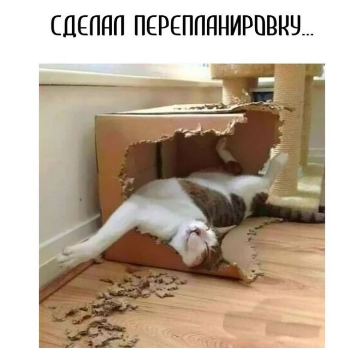 СДЕПНП ПЕРЕППННИРПВНЧ