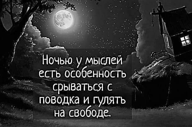 Ночьюуу мыслей есгь оСобенносгь срываться с поводка и гулять на свободе