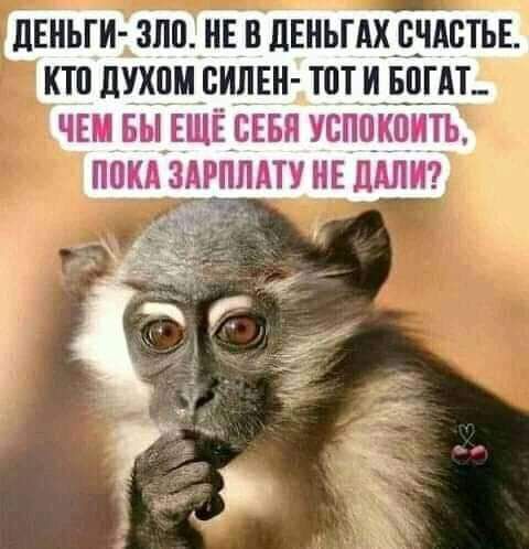ПЕИЫ И ЗПП НЕ В ЦЕНЬПЩ СЧАСТЬЕ КТП ПУХЦМ _БИЛЕН ТПТ И БПГАТ ЧЕМ БЫ ЕЩЁ СЕБЯ УСППКПИТЬ ПОКА ЗАРПЛАТУ НЕ ЛАЛИ