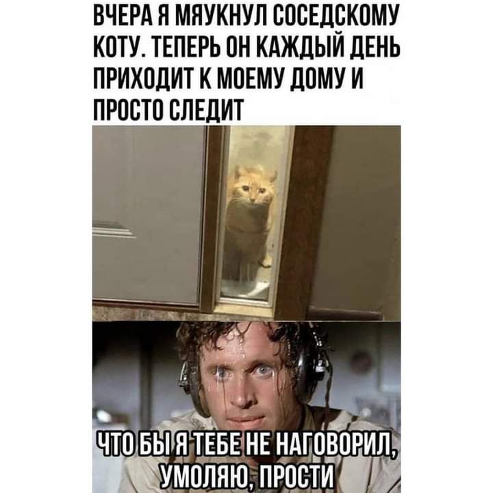 ВЧЕРА П МНУКНУЛ ВПСЕЛРКПМУ КПТУ ТЕПЕРЬ ПН КАЖДЫИ ЛЕНЬ ПРИХОДИТ К М0ЕМУ ЛПМУ И ПРПВТО ВЛЕДИТ умоляю пРцстй