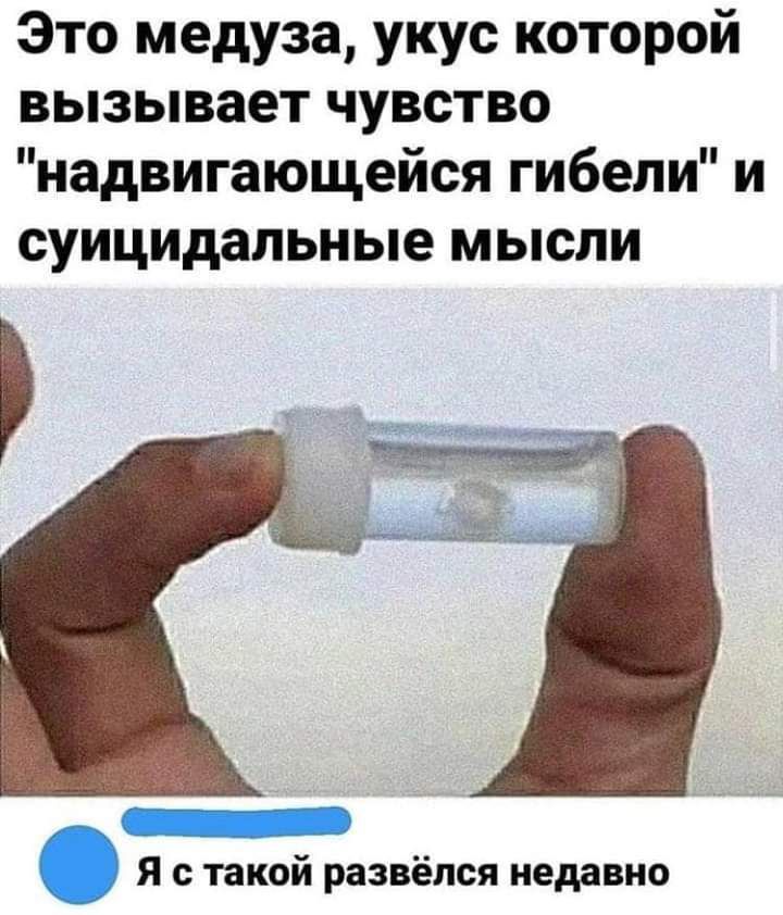 Это медуза укус которой вызывает чувство надвигающейся гибели и суицидальные мысли Я с такой развёлся недавно