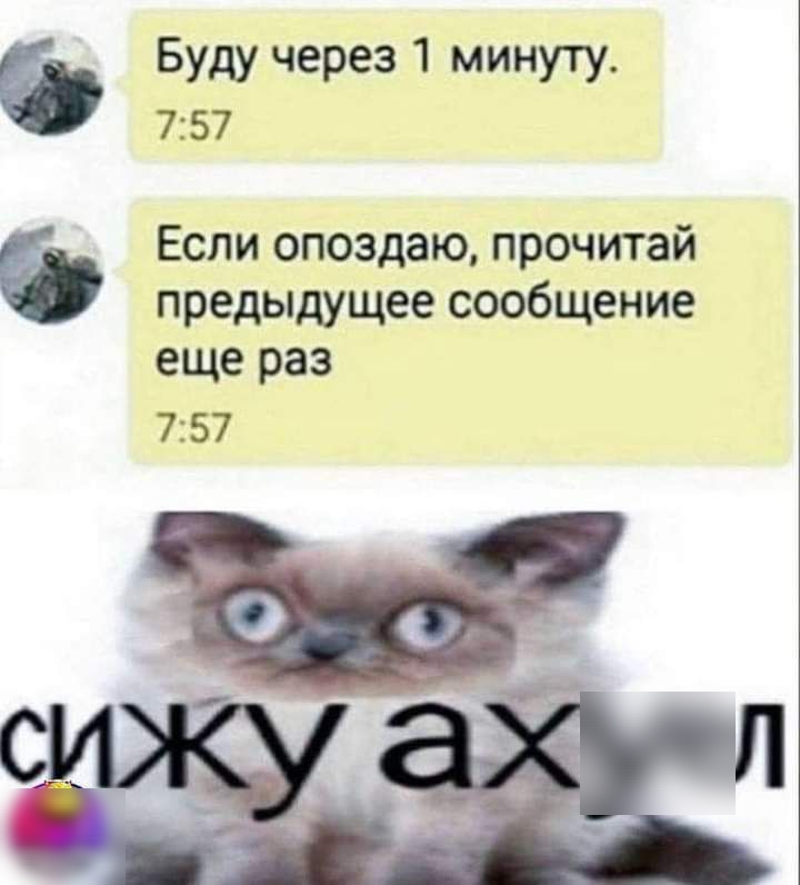 Буду через 1 минуту 757 г Если опоздаю прочитай предыдущее сообщение еще раз 757 Ы СИЖУ