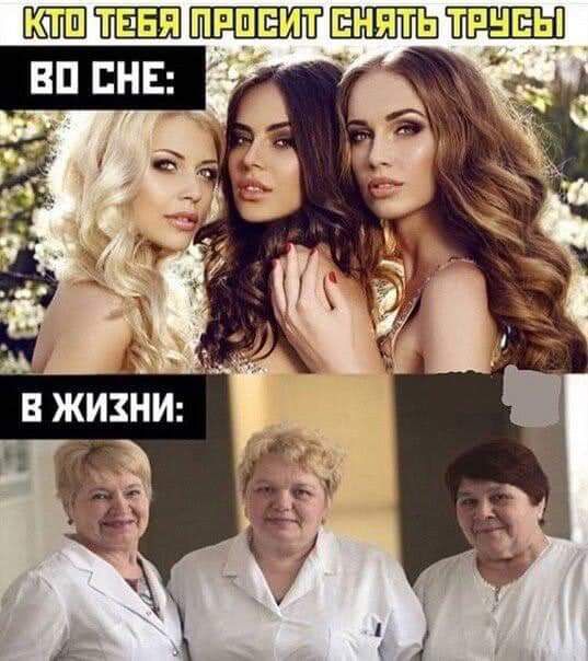 ШШШШПРШЕИТ ТРНЕЫ