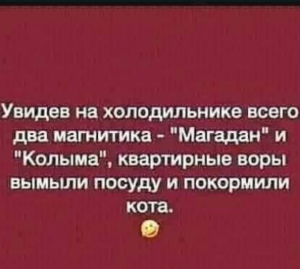Увидев на холодильнике всего два иагнитика Магадан и Колыма квартирные воры вымыпи посуду и покормили кота