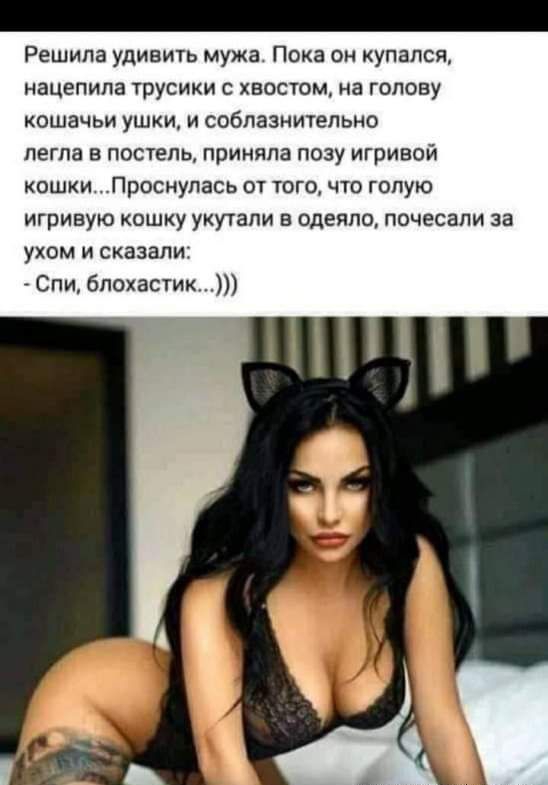 Решила удивить мужа Пока он купался нацепипа трусики с хвостом на голову кошачьи ушки и соблазнительно легла в постель приняла позу игривой кошки Проснулась от того что голую игривую кошку укутапи в одеяло почесали за ухом и сказали Спи 6похастик