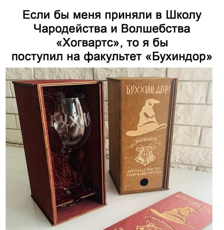 Если бы меня приняли в Школу Чародейства и Волшебства Хогвартс то я бы поступил на факультет Бухиндор