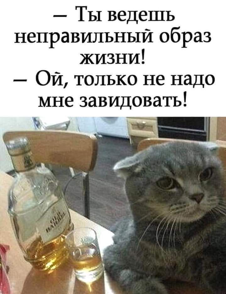 Ты ведешь неправильный образ жизни Ой только не надо мне заВИдовать
