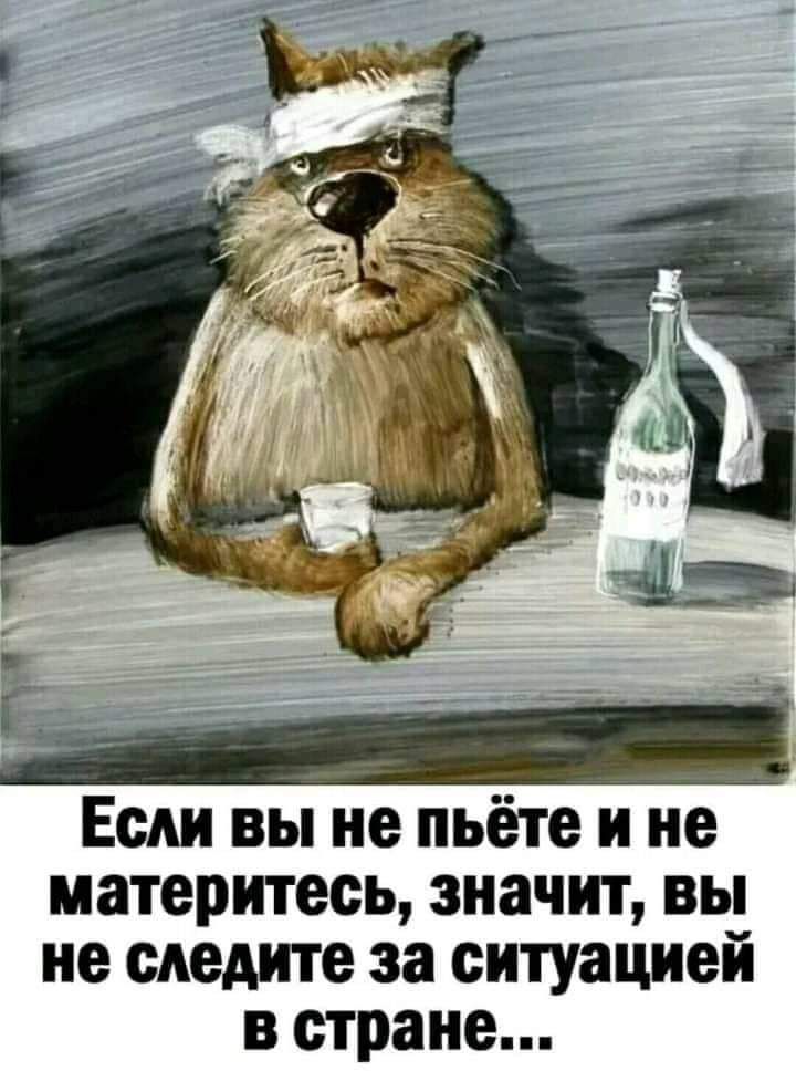 ЕсАи вы не пьёте и не материтесь значит вы не следите за ситуацией в стране