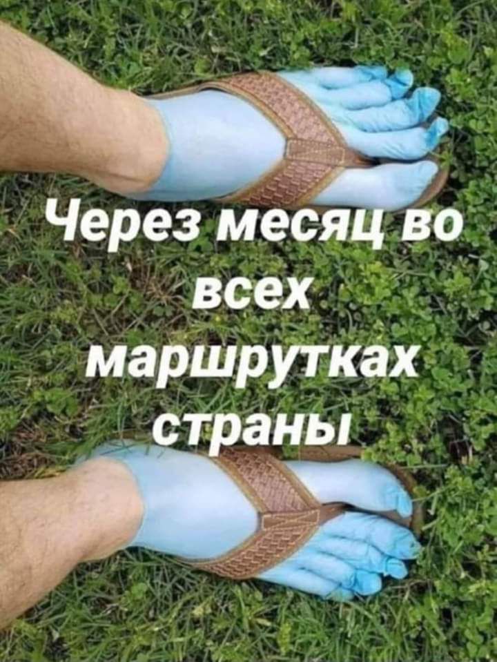 Через мама всех _ маршрутках страны