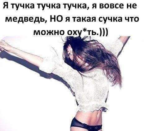 я тучка тучка тучка я вовсе не медведь НО я такая сучка что