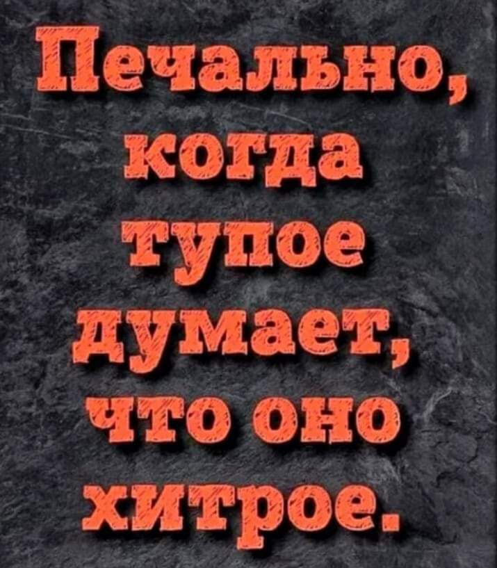 Печально когда тупое думает что оно хитрое