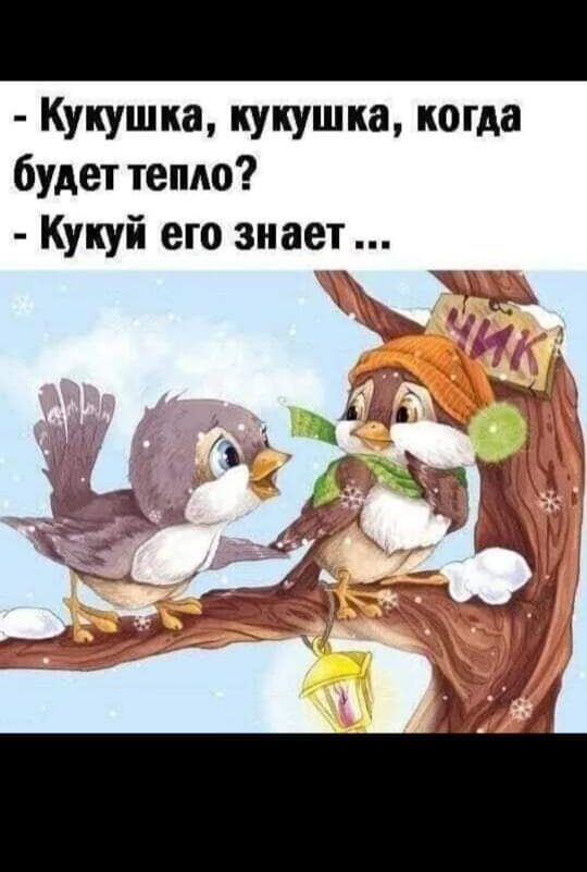 Кукушка кукушка когда будет тепло Кукуй его знает