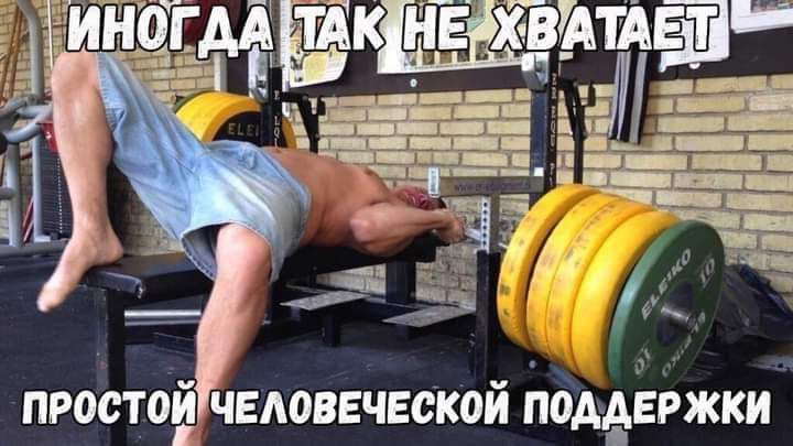 кщитдаи Кё ЁЁ _____ пиог_іъ_1г человеческой пбдмдегжки