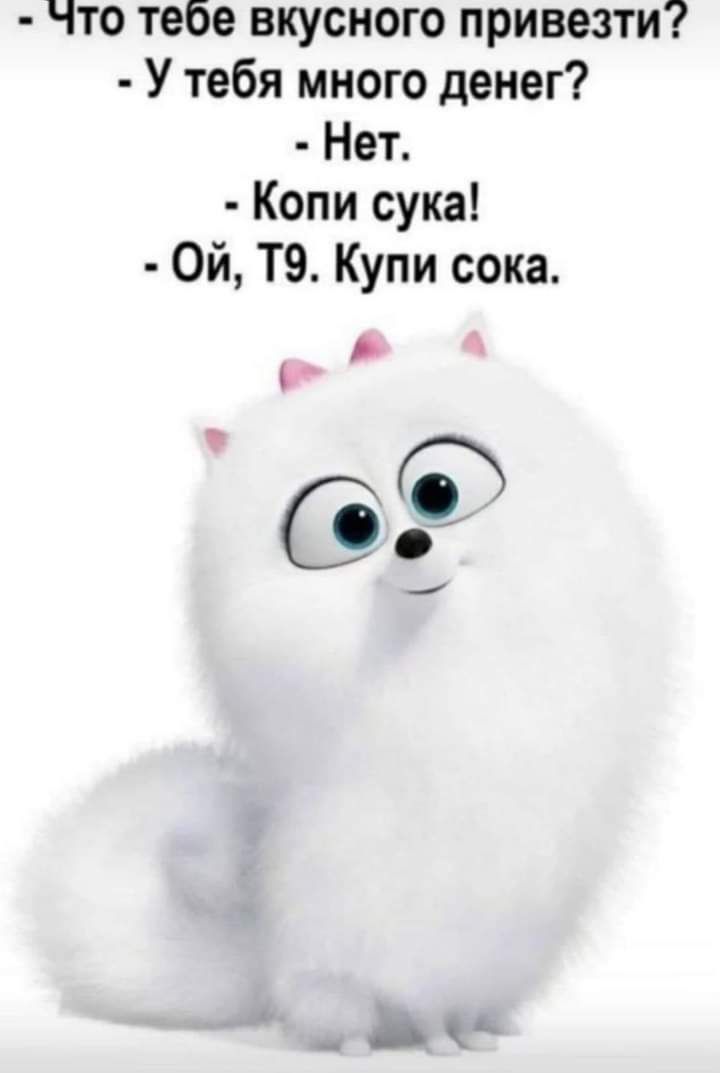 Что тебе вкусного привезти У тебя много денег Нет Копи сука Ой Т9 Купи сока С с _ __дв