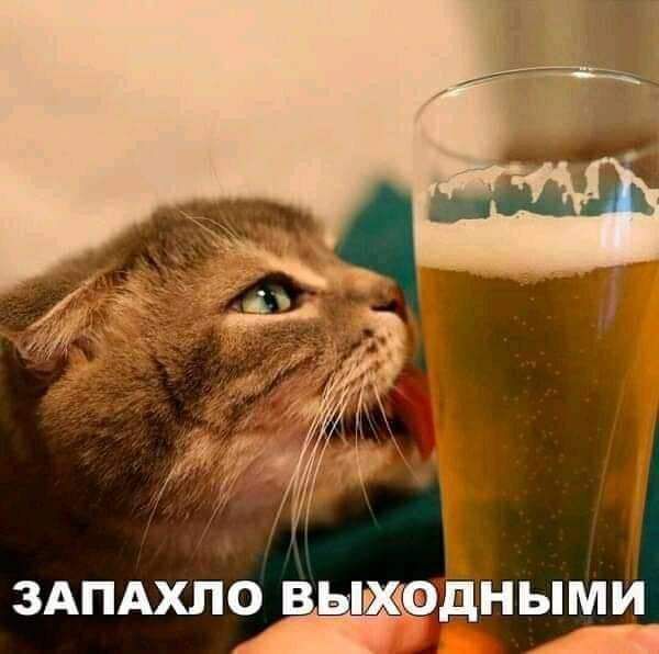 ЗАПАХПОВ ДНЫМИ Ш