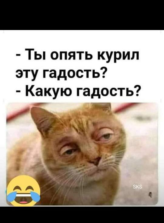 Ты опять курил эту гадость Какую гадость