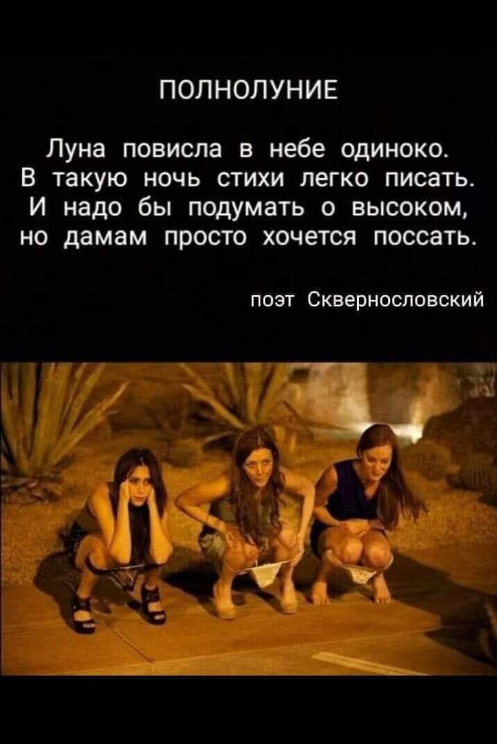 ПОЛНОЛУНИЕ Луна повисла в небе одиноко В такую ночь стихи легко писать И надо бы подумать о высоком но дамам просто хочется поссать поэт Скверносповский 4