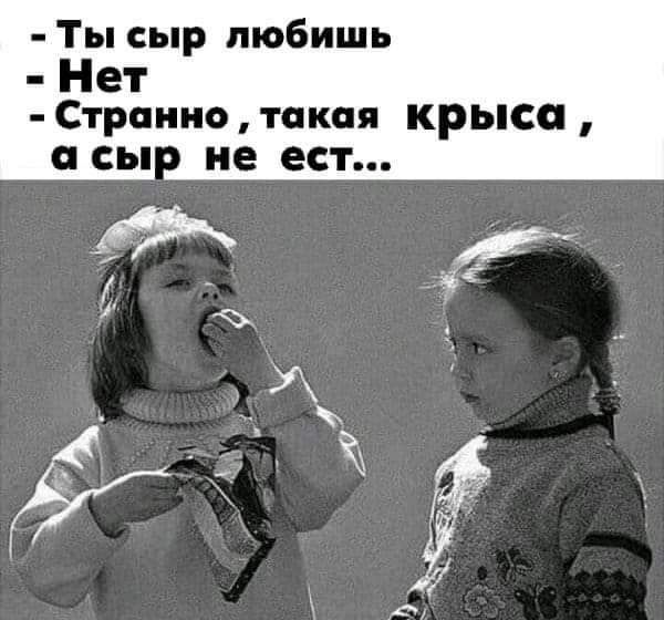 Ты сыр любишь Нет Странно такая крыса