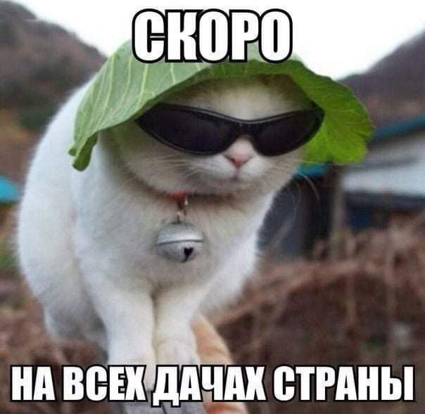 нд ВЁЕК дпни ВТРШЫ Ач1