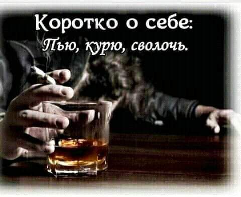 Коротко о себе Лью горю сволочь