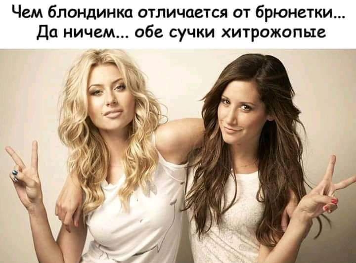 Чем блондинка отличается от брюнетки Да ничем обе сучки хитрожопые
