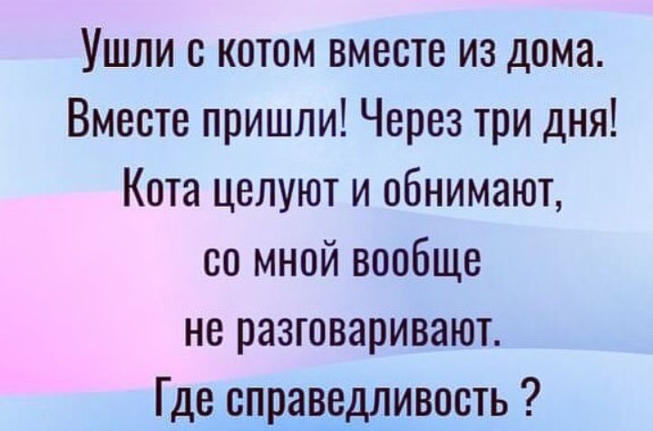 Ушли с котом вместе из дома Вместе пришли Через три дня Кота целуют и обнимают со мной вообще не разговаривают Где справедливость