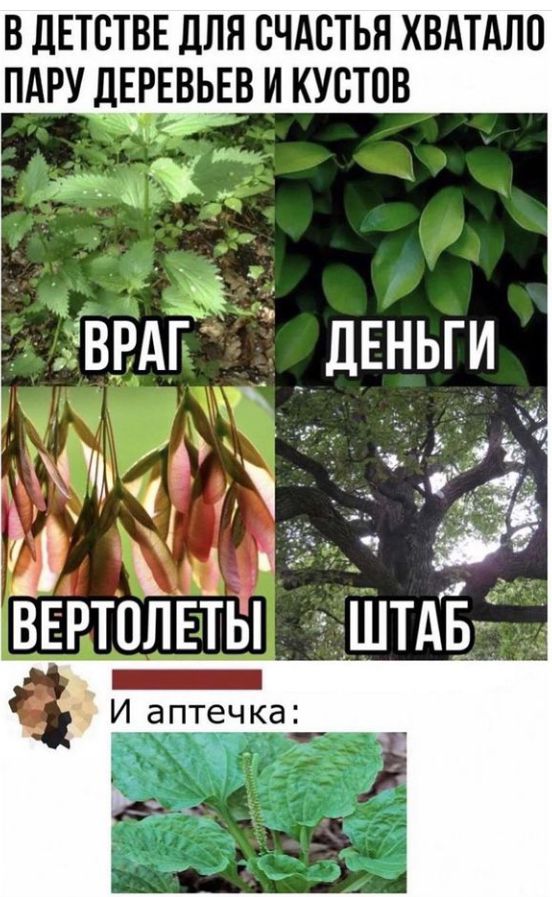 В ЛЕТСТВЕ ДЛЯ СЧАСТЬЯ ХВАТАЛП ПАРУ ДЕРЕВЁЕВ И КУСТПВ гввдЁ дЕньги А 30 в ШТАБ ВЕРТОЛЕТЫ