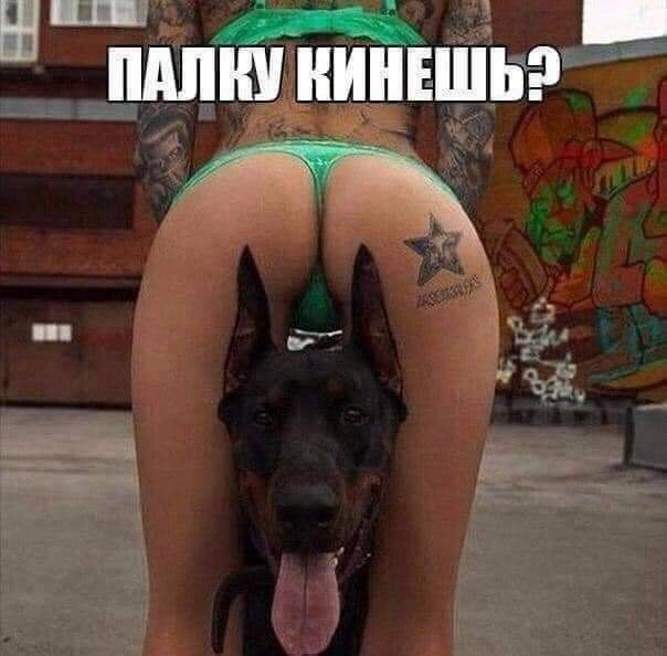 1 мёдт _ _ ШШШ КИНЕШЬ