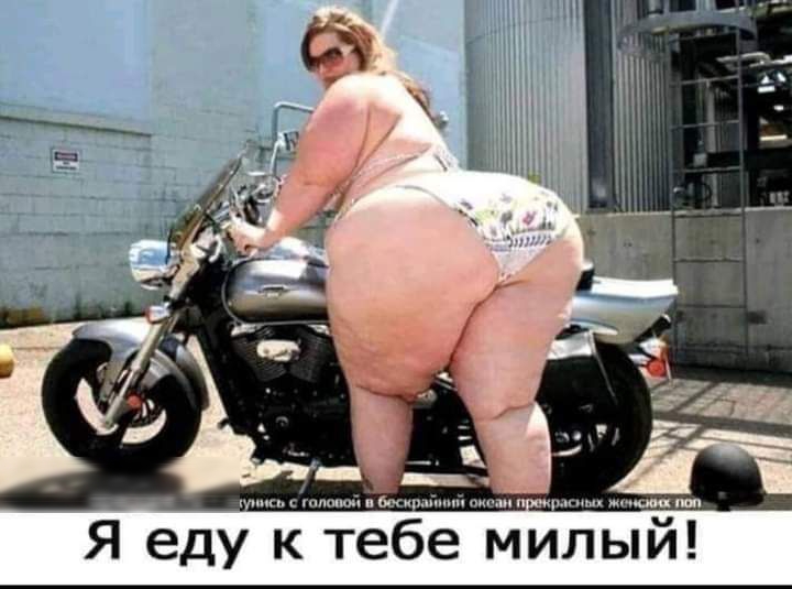 Я едуктебе милый