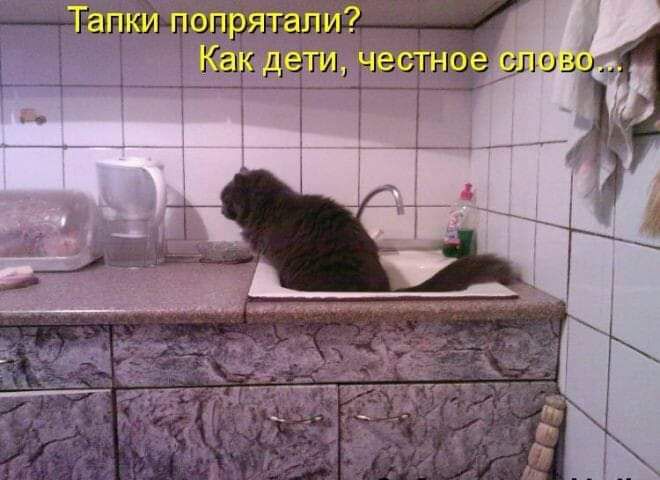 Тапки попрятапи ЁЁ