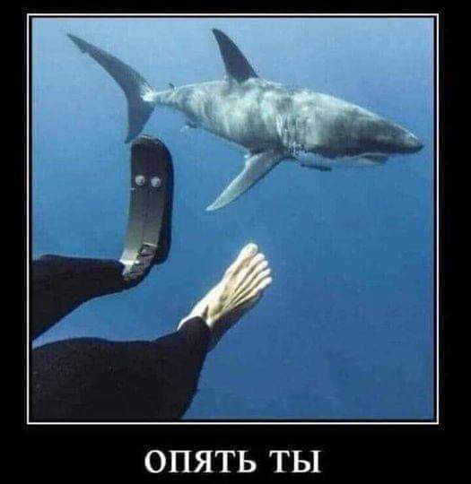 ОПЯТЬ ТЫ