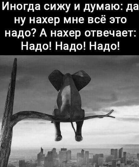 Иногда сижу и думаю да ну нахер мне всё это надо А нахер отвечает Надо Надо Надо