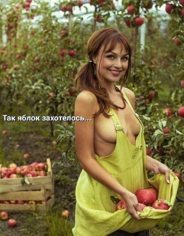 так яблок захотелосб й ,   г р кф 'к.'дмъ т н :