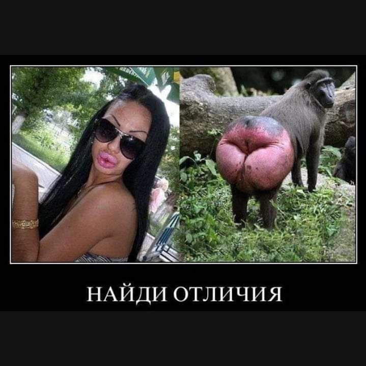 НАЙДИ отличия