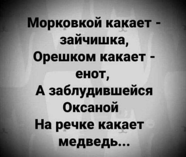 орковкой какает _ зайчишка Орешком какает енот А заблудившейся Оксаной На речке какает медведь