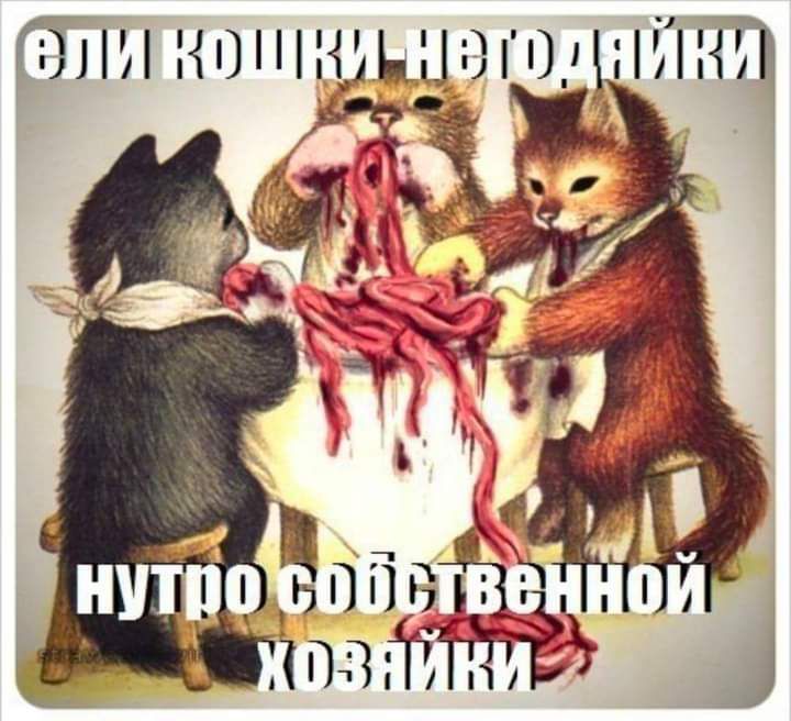 ЗППЬЬ ТЪ