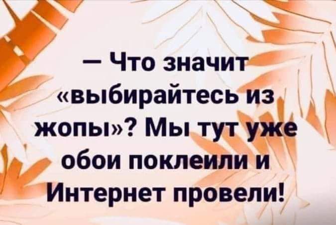 з Что значит выбирайтесьз жопы Мыт Иобои покле итернет провели