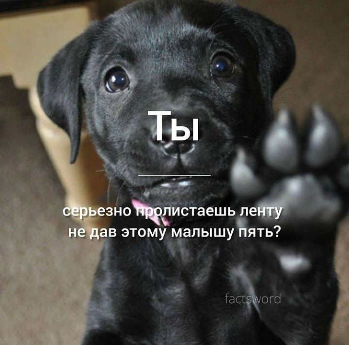 зйощійсіаешь ле 3 в этому малышуъять у ч ЮЪМШЁ