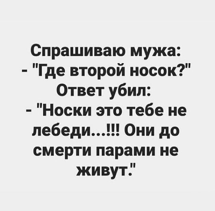 Спросила что он куда. Спрашиваю у мужа, где второй носок. Цитаты смешные короткие. Носки не лебеди парами не живут. Анекдот про носки.