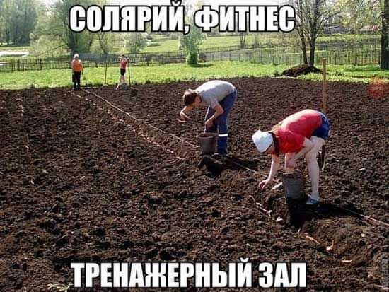 _ _ у __ ТРШПЖЕРНЫИ ЗПП