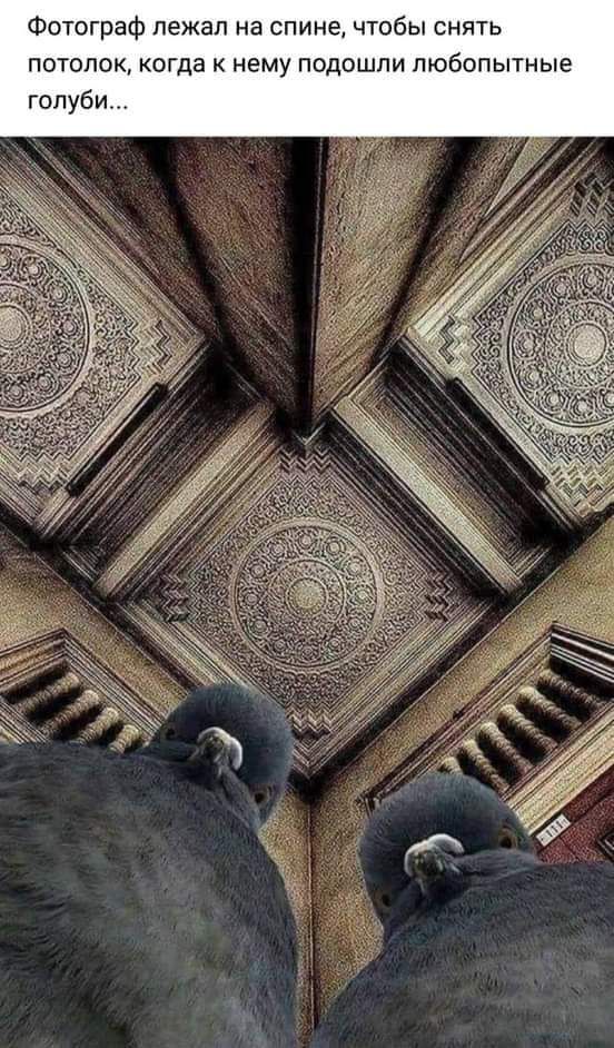 ь Т я Н с Ь б о Т Ч е н и П с а Н п 8 Ж е п ф а В г 0 Т О Ф Ю Ь Н П Ь п о б ю л И п Ш 0 П у М в Н К Э Ш 0 к к 0 Л о т 0 П