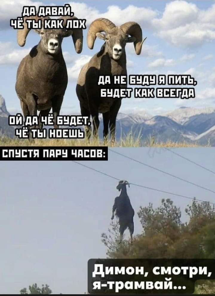 дийон смотри _ я трамвпй