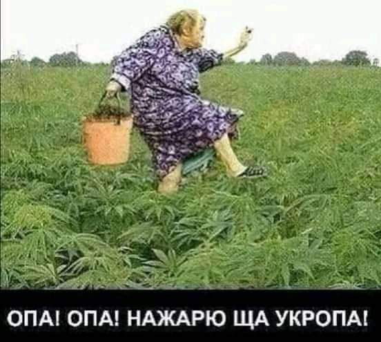 ОПА ОПА НАЖАРЮ ША УКРОПА